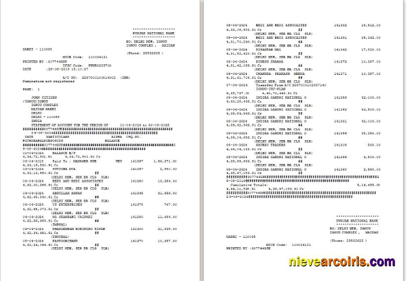 UAE Dubai PNB bank statement Word and PDF, 2 pages